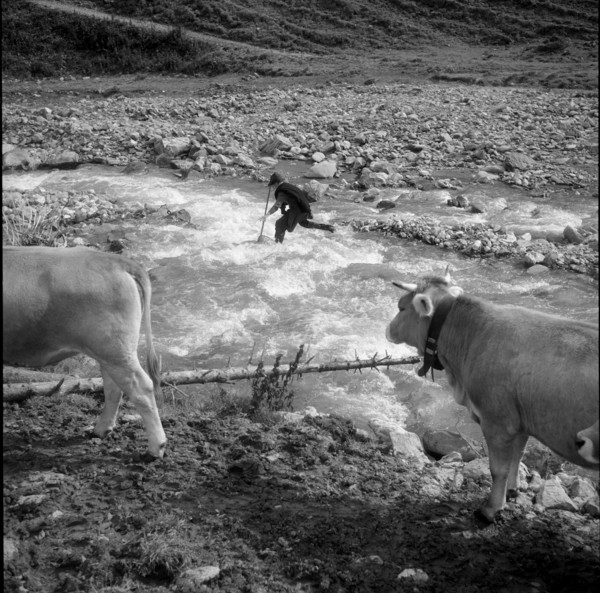 Calfeisental, Young cowherd on the Alp Sardona; 1960