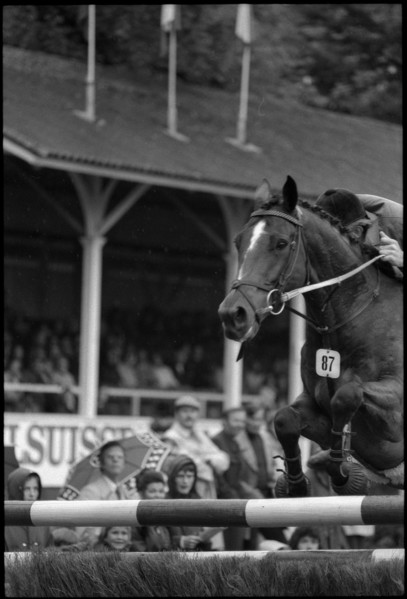 CSIO Lucerne 1974: Tjeerd Velstra on The Country Man