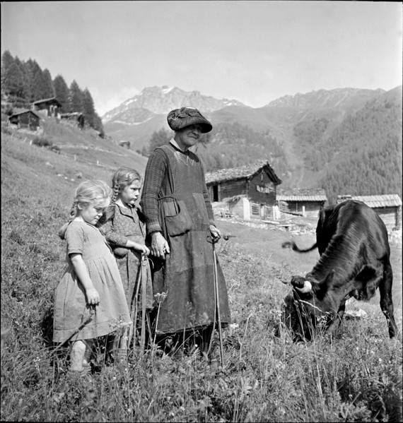 Woman and girl herding cattle on the Sommeralp, Valais 1942
