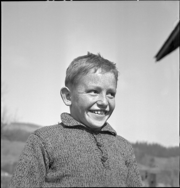 Farmer's Boy 1941