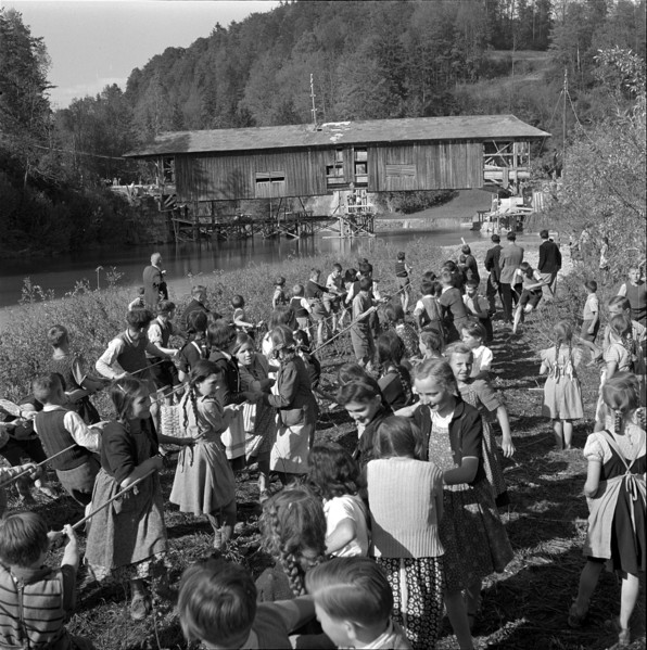 Children help move an old wooden bridge; 1952