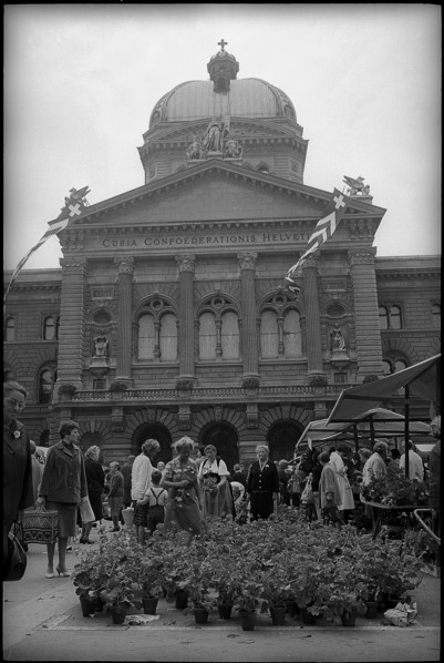 Geranium market on the Bundesplatz, Bern 1966