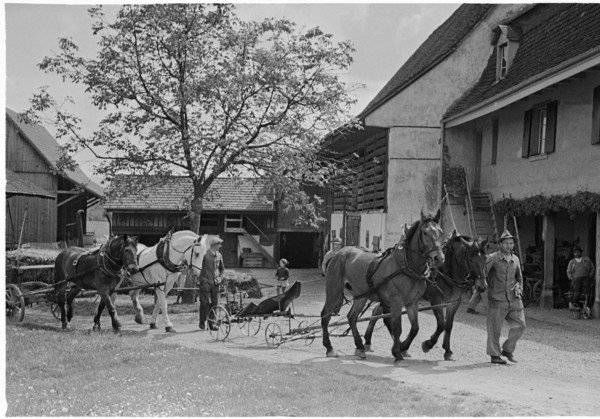 WWII: Swiss farmer on the French border, Basel 1945