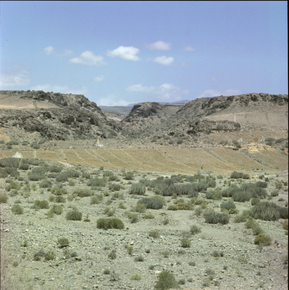 Volcanic landscape on Tenerife 1970