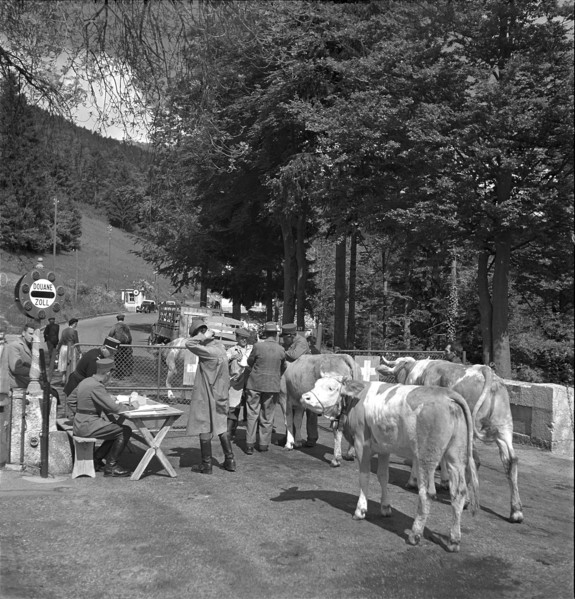 Customs during the ascent of cows to the Alps abroad, Creux 1952