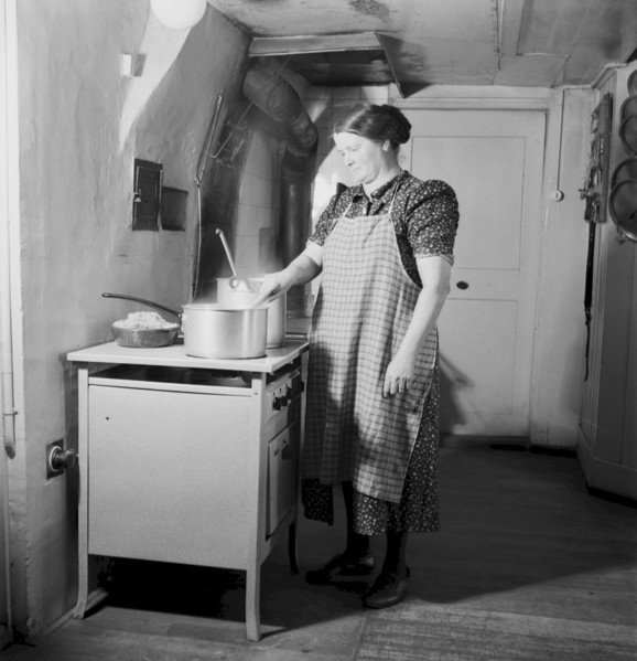 Farmer's wife cooking with electric cooker
