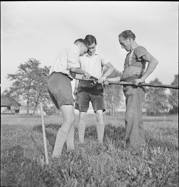 WW 2: farming camp. volunteers during the occupation of the border, 1939