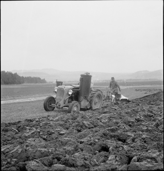 WW 2: crop growing, cereal cultivation, Thunerallmend 1943