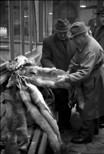 Fur market in Lucerne 1971
