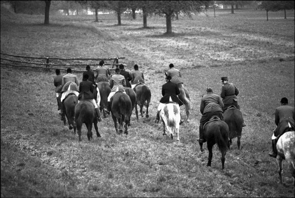 Hunting wild boars in Elgg, 1950