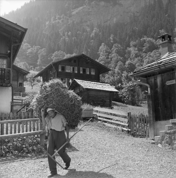 Autumnal hunting in Elgg, 1958