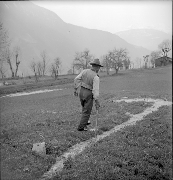 Muotathal, boy leading cows over a bridge, 1958