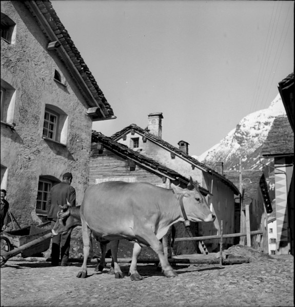 Splügen, woman cleaning window at the fountain, 1941