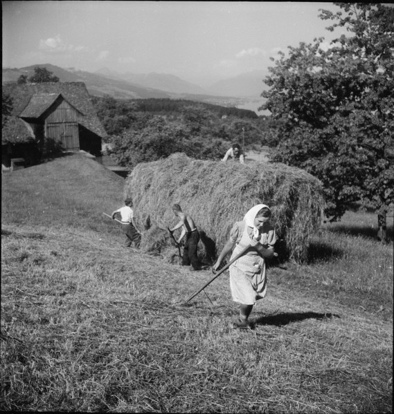 Young woman haymaking; 1943