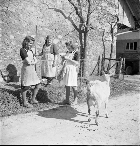 Agriculture