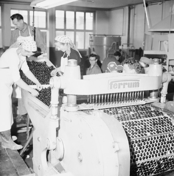 Cherry pitting machine, 1958