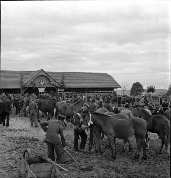 38th MarchéConcours Saignelégier, horse market, 1941