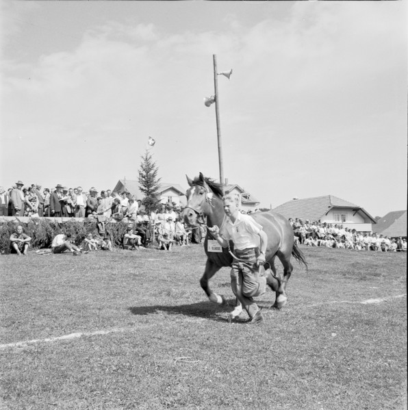 55th MarchéConcours Saignelégier, horse Daguerette, 1958