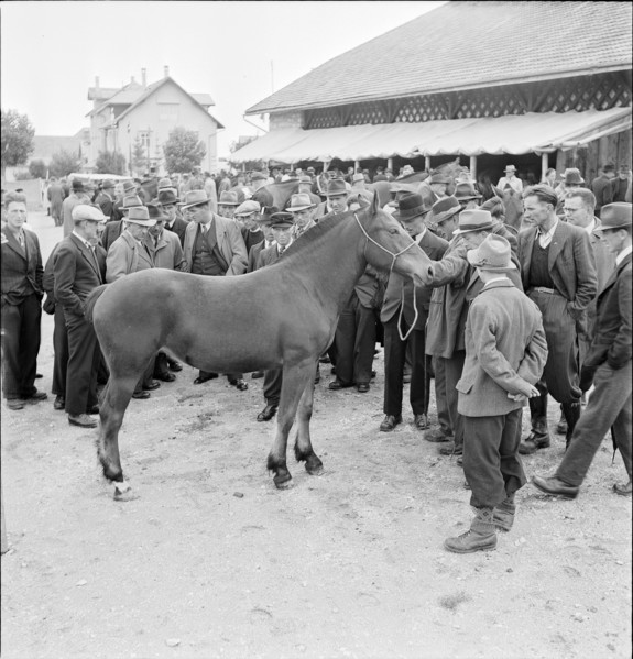 42nd MarchéConcours Saignelégier, horse market, 1945