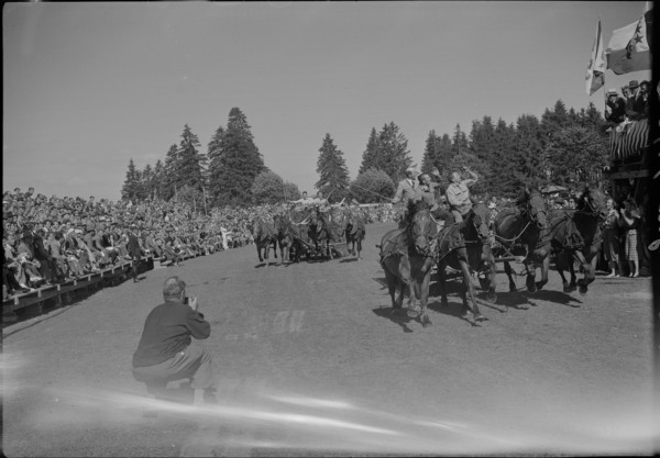 48th MarchéConcours Saignelégier, fourinhand chariot race, 1951