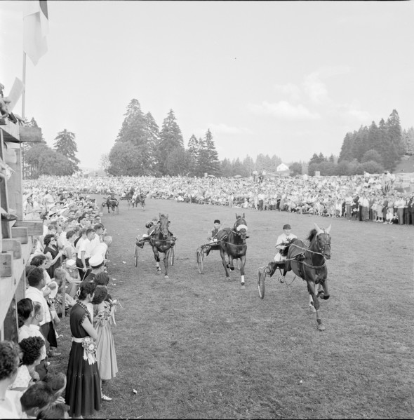 55th MarchéConcours Saignelégier, harness racing, 1958