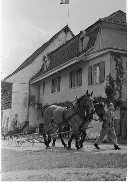 WWII: Swiss farmer on the French border, Basel 1945