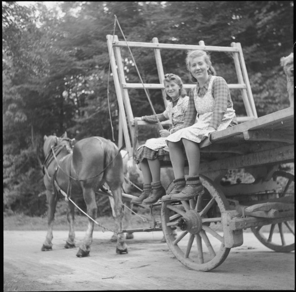 Horsedrawn cart, Jestetten border at the end of the war, 1945