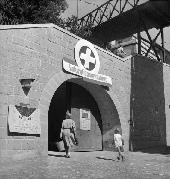 Gathering natural produce for Swiss donation, 1945.