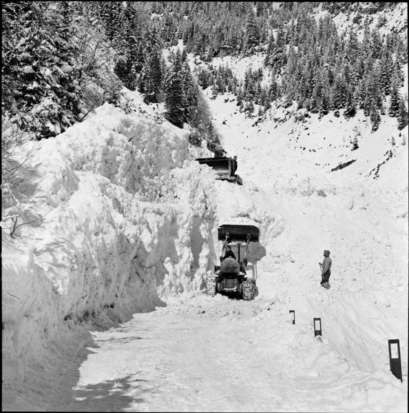 Avalanche in the Safien valley: clearance work, 1956.