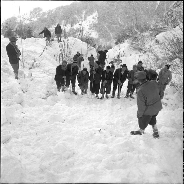 Three workers buried by avalanche near Grindelwald: men searching for the missed persons; 1956.