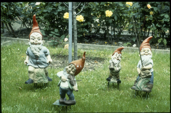 Allotment with garden gnomes 1980.