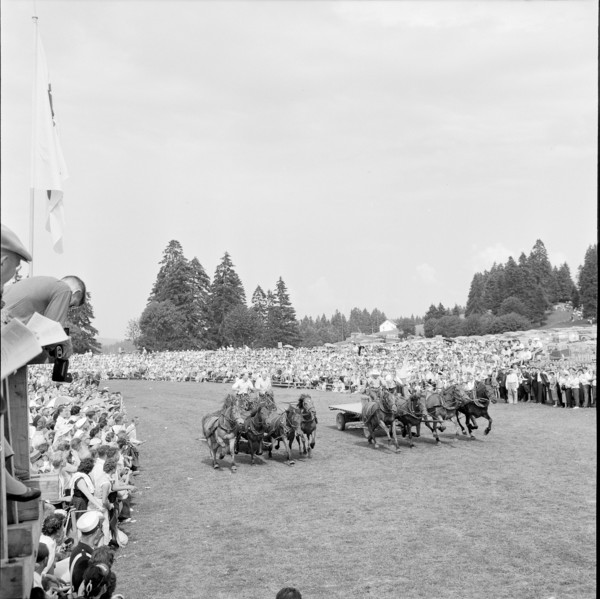 55th Marché-Concours Saignelégier, chariot race, 1958.