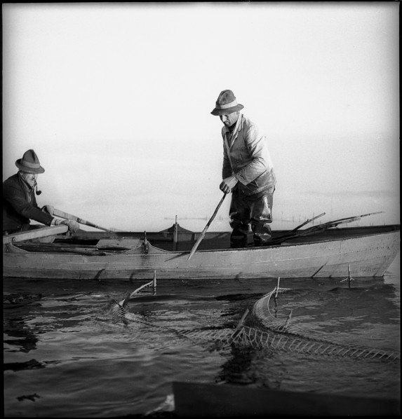 Fishermen on Lake Constance 1939.