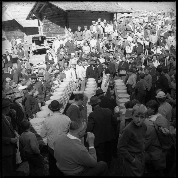 Distribution of cheese in the Justistal Valley, 1964.
