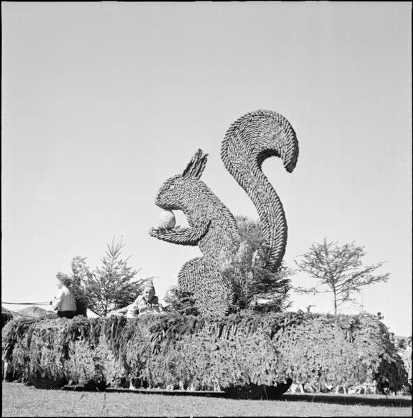 48th Marché-Concours Saignelégier, squirrel, 1951.
