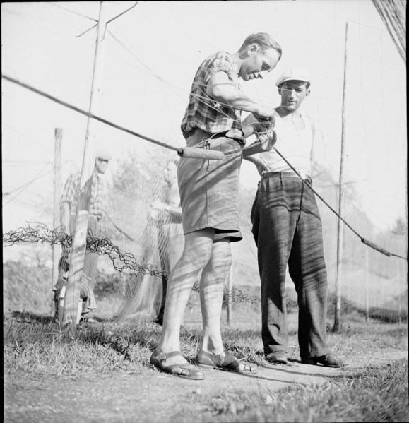 Fisherman from Lake Constance repairing net 1945.