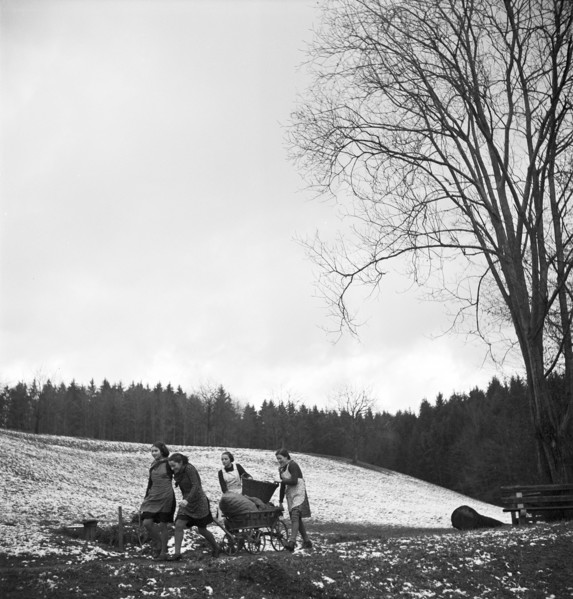 Girls collect fir cones for heating, 1944.