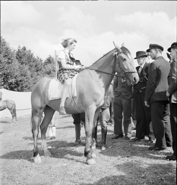 38th Marché-Concours Saignelégier, 1941.
