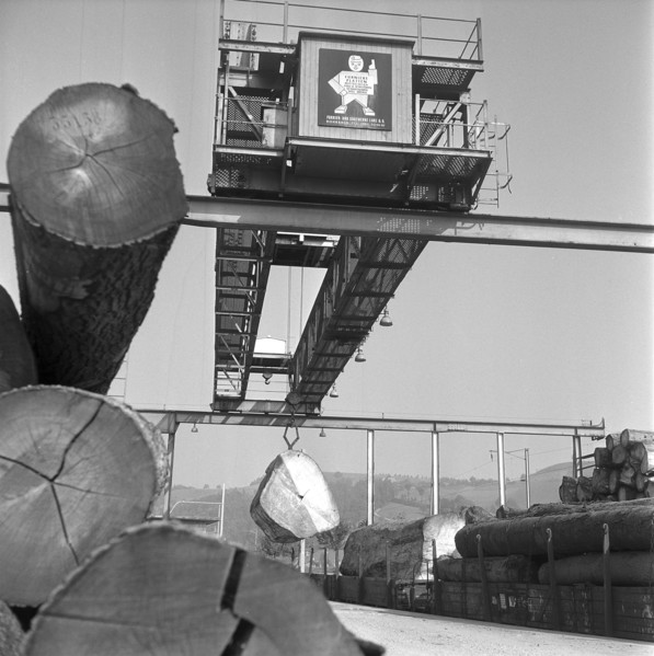 Loading of tree trunks on goods train, 1959.