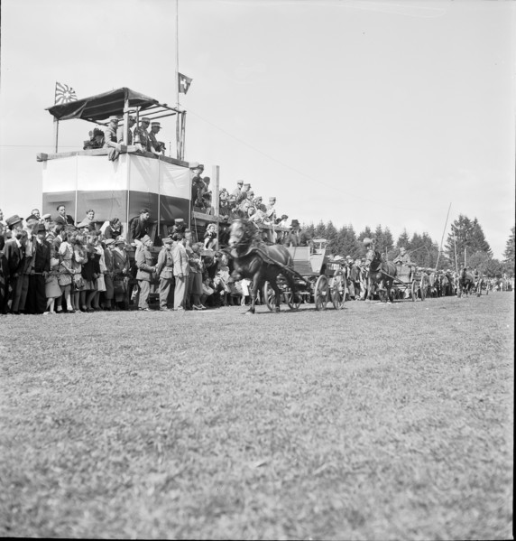 37th Marché-Concours Saignelégier, one-horse carriage, 1940.