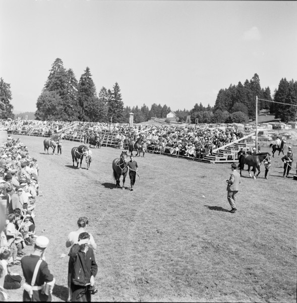 58th Marché-Concours Saignelégier, stallion presentation, 1961.