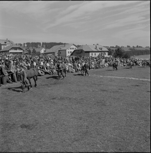 48th Marché-Concours Saignelégier, Presentation, 1951.