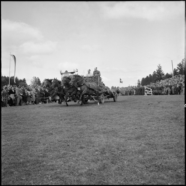 53rd Marché-Concours Saignelégier, chariot race, 1956.