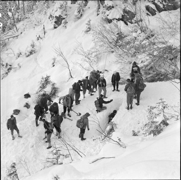 Three workers buried by avalanche near Grindelwald: men searching for the missed persons; 1956.