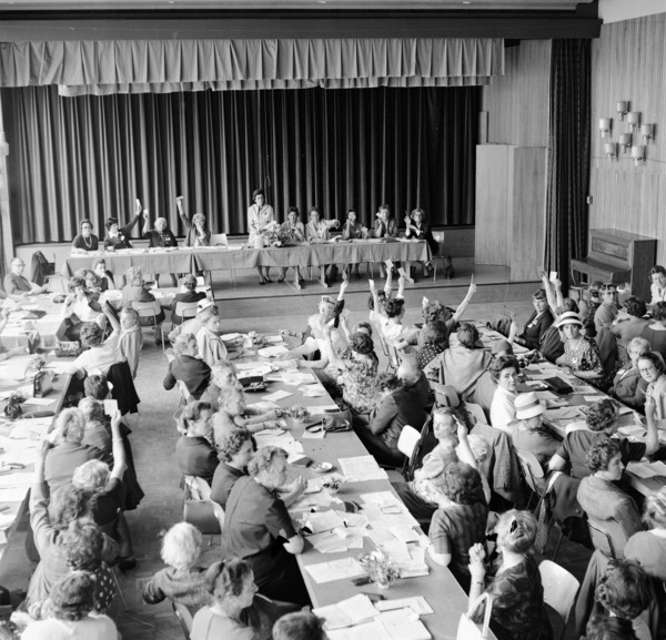Delegate assembly of the Swiss Association for the Women's Right to Vote, 1963.