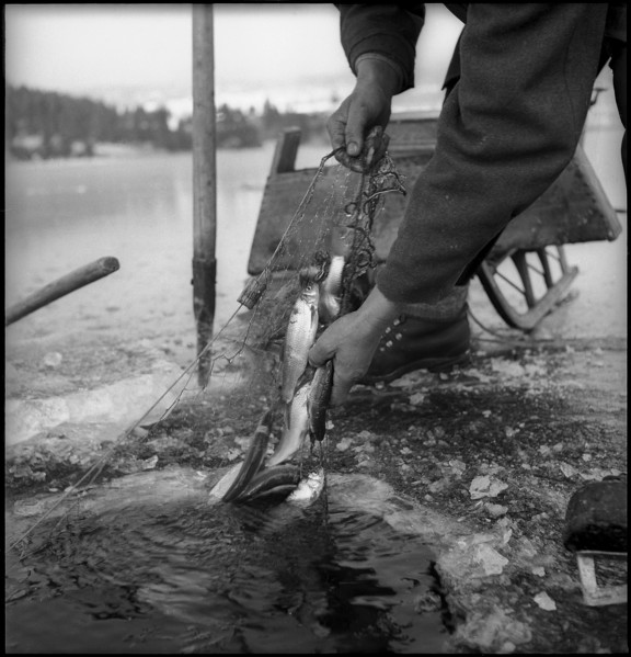 Ice fishing on the Lac de Joux 1945.