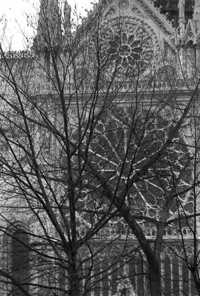1975, Paris, Notre Dame Cathedral.