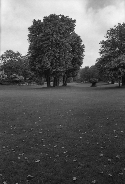 1975, Paris, Tuileries Gardens.