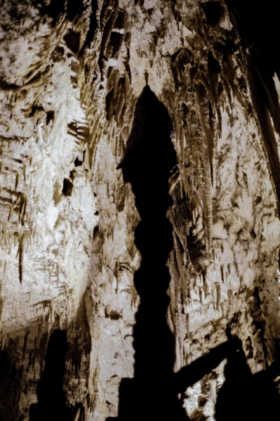 Nature, Italy, region of Puglia 1975 Grotte di Catellana (Castellana caves).