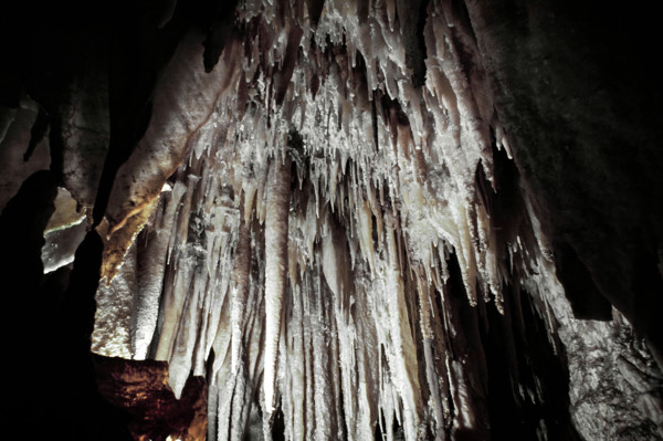 Nature, Italy, region of Puglia 1975 Grotte di Catellana (Castellana caves).